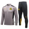 BVB Borussia Dortmund Homen Sweat de Treino Conjunto Quarto-Zíper 22/23 Cinza Claro