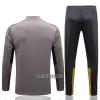 BVB Borussia Dortmund Homen Sweat de Treino Conjunto Quarto-Zíper 22/23 Cinza Claro