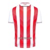 Camisola Stoke City Homen Equipamento 1ª 22/23