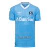 Camisola Gremio FBPA Homen Equipamento 3ª 22/23