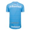 Camisola Gremio FBPA Homen Equipamento 3ª 22/23