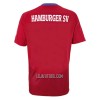 Camisola Hamburger SV Homen Equipamento 3ª 22/23