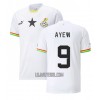 Camisola Gana Ayew 9 Jordan Homen Equipamento 1ª Mundial 2022