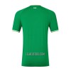 Camisola Irlanda Homen Equipamento 1ª 2023