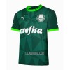 Camisola Palmeiras Homen Equipamento 1ª 23/24