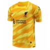 Camisola Guarda-Redes Liverpool A. Becker 1 Homen Equipamento 3ª 23/24