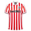 Camisola Stoke City Homen Equipamento 1ª 23/24