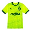 Camisola Palmeiras Homen Equipamento 3ª 23/24