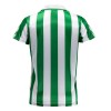 Camisola Real Betis Homen 23/24 - Especial