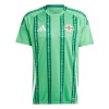 Camisola Irlanda do Norte Homen Equipamento 1ª 2024