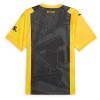 Camisola Borussia Dortmund Anniversary Homen 23/24