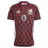 Camisola México Guillermo Ochoa 13 Homen Equipamento 1ª 2024