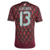 Camisola México Guillermo Ochoa 13 Homen Equipamento 1ª 2024