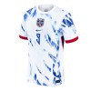 Camisola Noruega Haaland 9 Homen Equipamento 2ª 2024