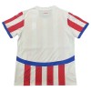 Camisola Paraguay Homen Equipamento 1ª 2024