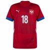 Camisola Sérvia Vlahovic 18 Homen Equipamento 1ª Euro 2024