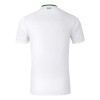 Camisola Irlanda Homen Equipamento 2ª 24/25