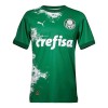 Camisola Palmeiras Homen 2024 Verde - Especial