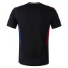 Camisola Olympique Lyonnais Homen Equipamento 2ª 24/25