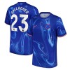 Camisola Chelsea Gallagher 23 Homen Equipamento 1ª 24/25