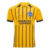 Camisola Brighton Hove Albion Homen Equipamento 2ª 24/25