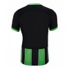 Camisola Brighton Hove Albion Homen Equipamento 3ª 24/25