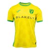 Camisola Norwich City Homen Equipamento 1ª 24/25