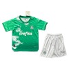 Camisola + Calções Palmeiras Criança 2024 Verde - Especial