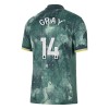 Camisola Tottenham Hotspur Gray 14 Homen Equipamento 3ª 24/25