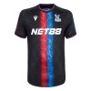 Camisola Crystal Palace Homen Equipamento 3ª 24/25