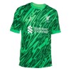 Camisola Guarda-Redes Liverpool Homen 24/25 Verde