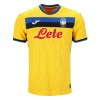 Camisola Atalanta Homen Equipamento 3ª 24/25