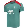 Camisola Liverpool Homen 24/25 - Especial