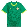 Camisola Senegal Homen Equipamento 2ª 24/25