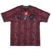 Camisola Dinamarca Homen 24/25 - Especial