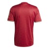 Camisola FC Bayern de Munique Anniversary Homen 24/25